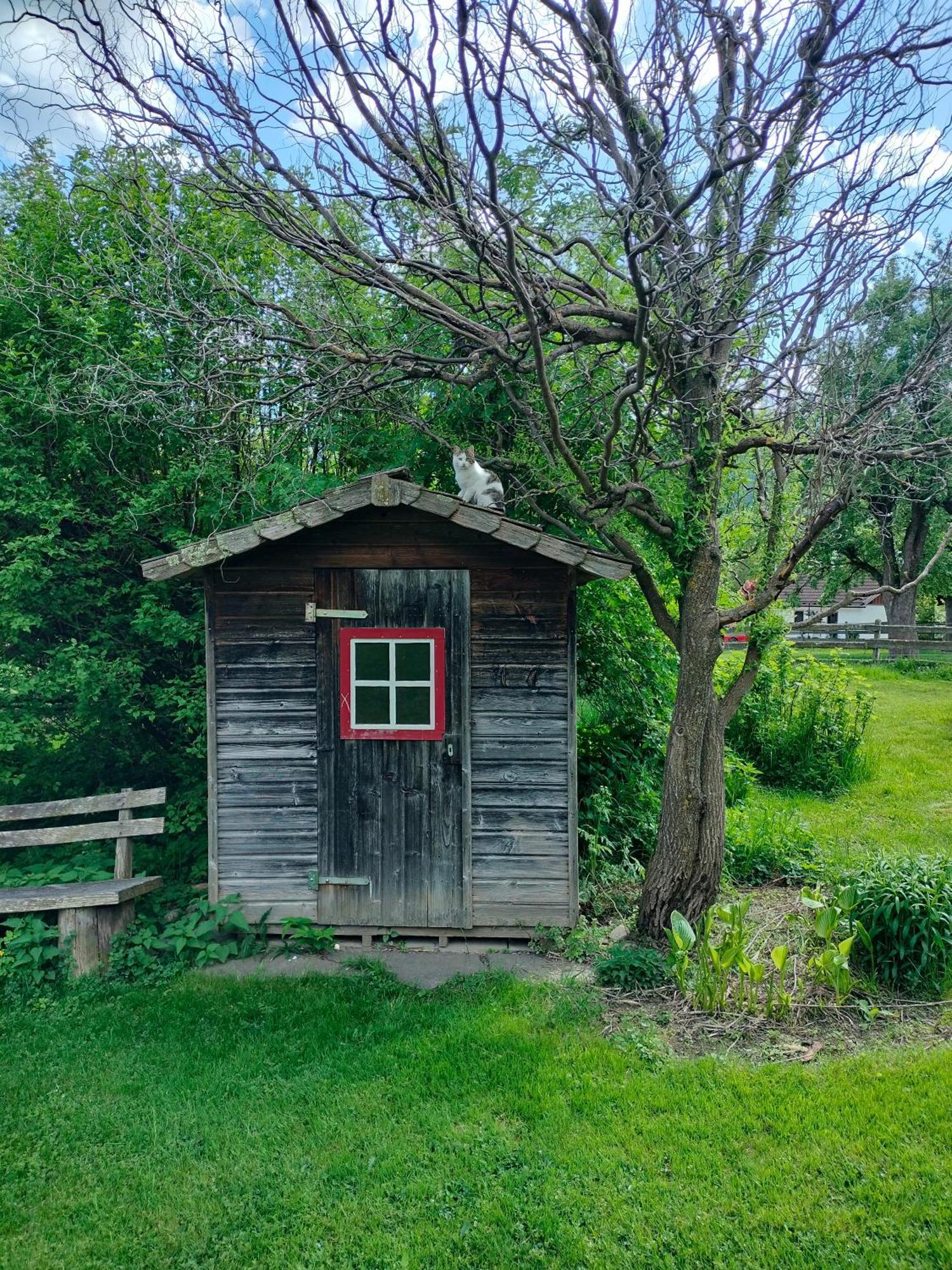 오버드라우부르크 Koestlhof, Familie Hassler B&B 외부 사진
